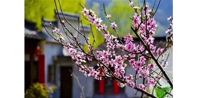 陽(yáng)春三月，臺(tái)群精機(jī)一大波展會(huì)即將來(lái)襲，您準(zhǔn)備好了嗎？